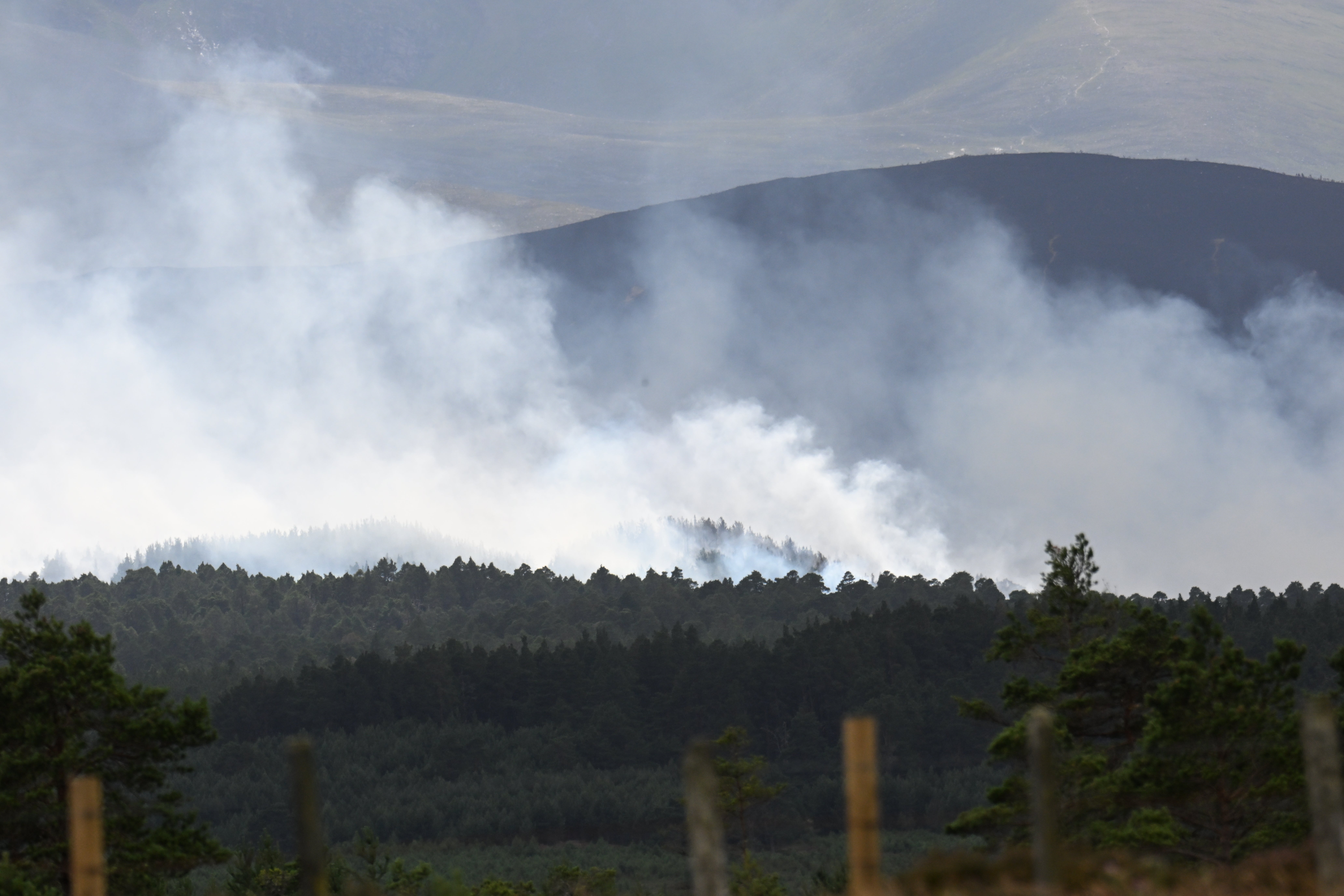 Dim se diže iz šumskog požara u Nacionalnom parku Cairngorms u subotu