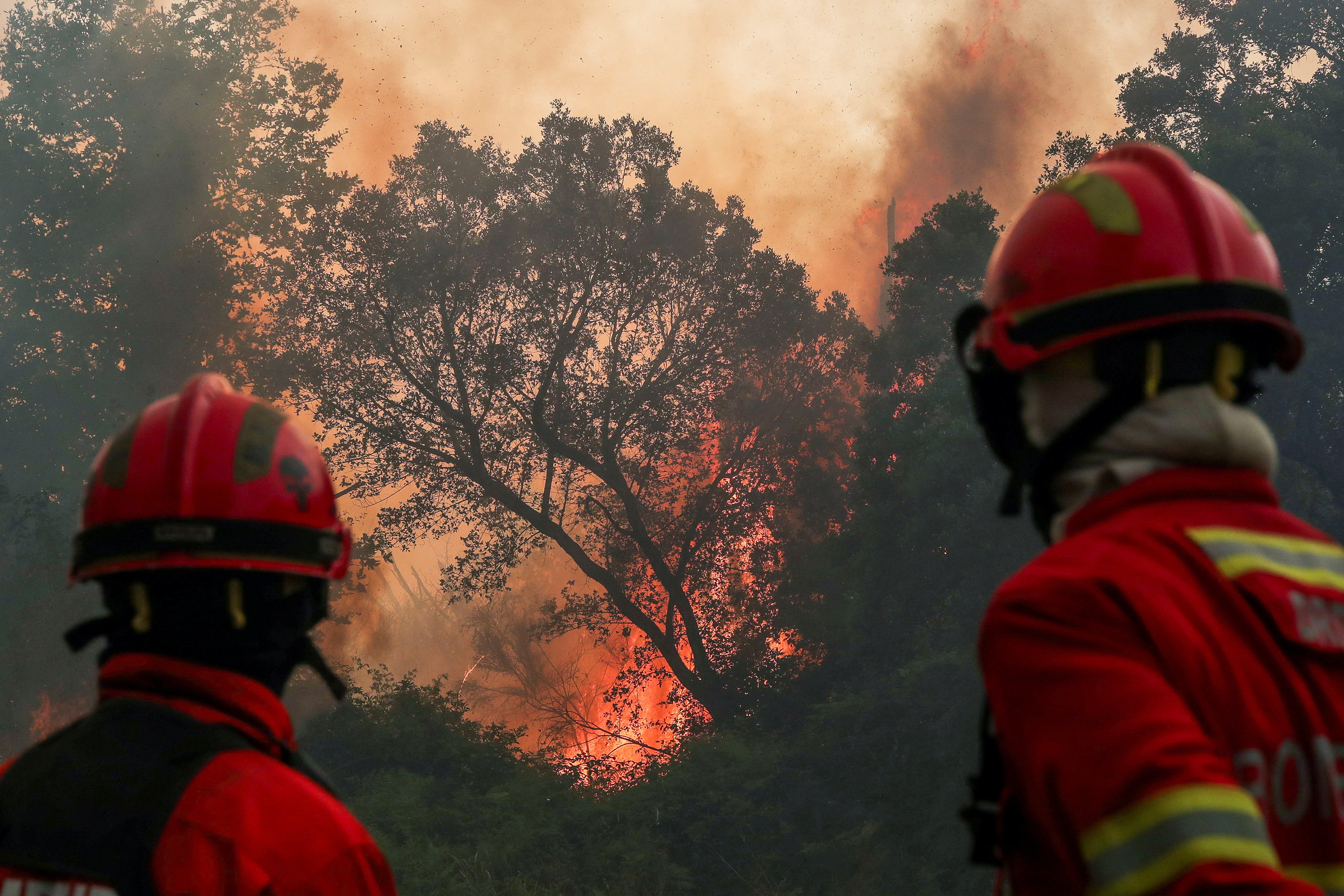 Vatrogasci rade na sprječavanju napredovanja plamena prema selu Cercosa tijekom šumskog požara u Vouzeli, Portugal, 4. srpnja 2026. REUTERS/Pedro Rocha