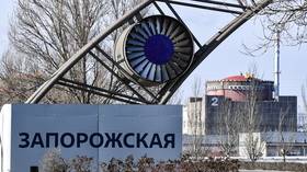Moskva zahtijeva akciju IAEA-e zbog 'terorističkog' ubojstva osoblja nuklearne elektrane