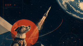 Before Gagarin, there were dogs: The forgotten pioneers of space