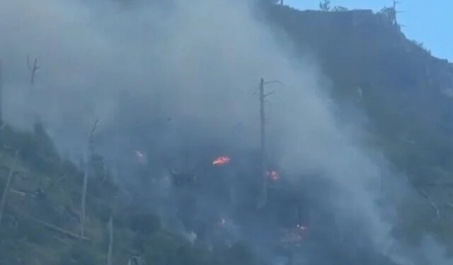 Aktivirao se požar na Rujištu