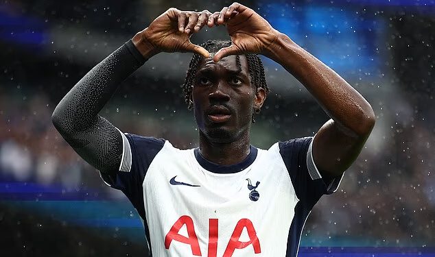 Bivša zvijezda Tottenhama nada se impresionirati Fulham, Sunderland potpisuje Thomasa Meuniera, a Bournemouth se približava talentu Benfice: PROZOR