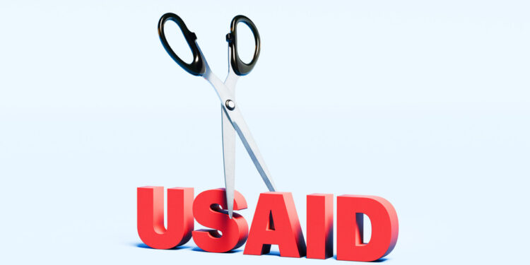 Četvrtina mladih Afrikanaca vidi prednost u rezovima USAID-a – anketa – RT Africa