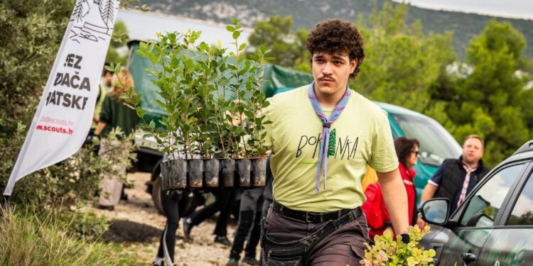 Dobrotvorni buvljak ponovno u Murteru: Kupnjom podržite projekt Boranka