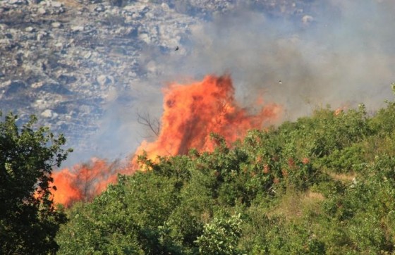 Dvojica muškaraca prijavljena za izazivanje požara, izgorjelo 7000 kvadrata poljoprivrednog zemljišta i 44 masline