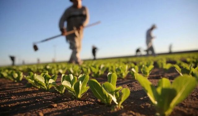 Evo koliko će i po kojoj djelatnosti poljoprivrednici u HNŽ dobiti poticaja od Vlade
