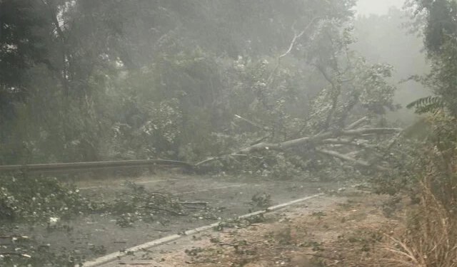 FOTO/VIDEO Kaos na cestama između Stoca i Čapljine nakon snažnog nevremena
