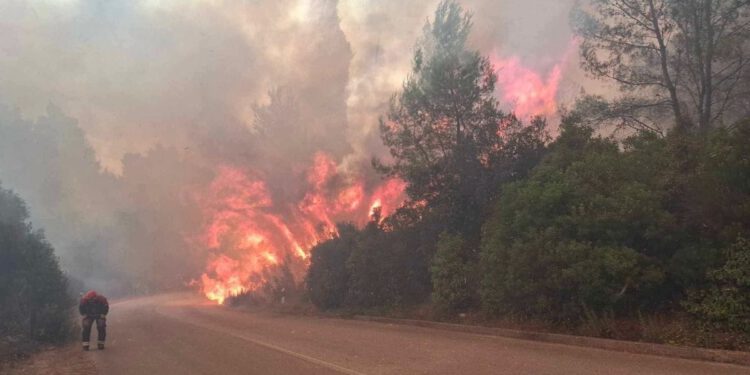 GORI DALMACIJA Izgorjelo preko 650 hektara, 145 intervencija, ozlijeđeni vatrogasci, stigle hitne snage iz unutrašnjosti!
