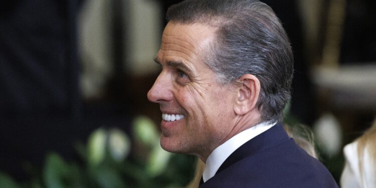 Hunter Biden dobio tužbu za klevetu zbog tvrdnji o podmićivanju u Iranu — RT World News