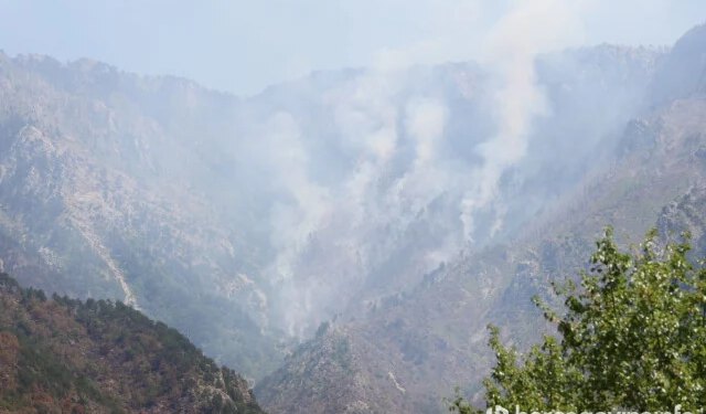 Kiša ugasila sve požare kod Mostara, okončana i višednevna borba na Rujištu