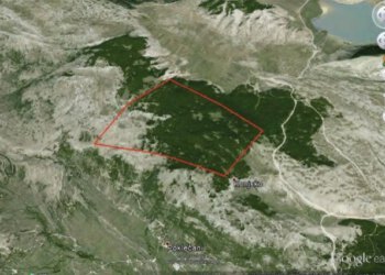 Kod planiranog vjetroparka pored Blidinja otkriveno 66 biljnih vrsta
