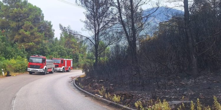 Korčulu gutao požar, a onda je stigla poruka iz Crne Gore koja je svima natjerala suze na oči