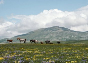 Krug planina korak bliže zaštiti: ‘Za velike energetske zahvate i rudarenje ovdje nema mjesta’