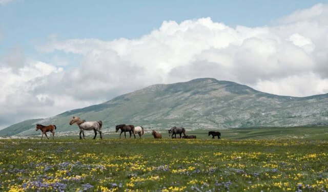 Krug planina korak bliže zaštiti: ‘Za velike energetske zahvate i rudarenje ovdje nema mjesta’