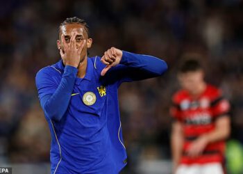 Liam Delap ide prema odlasku nakon što se mučio u Sydneyju u krugu Nottingham Foresta, 16-godišnjak koji je oduševio Xabija Alonsa i zaboravljeni čovjek koji se bori za startno mjesto: Chelsea 6-4 Western Sydney POVIJESTI