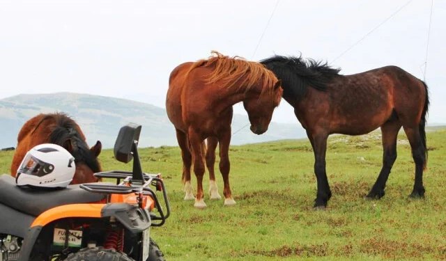 Livno očekuje snažnu turističku sezonu: Divlji konji, rijeke i novi događaji privlače sve više gostiju