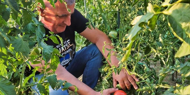 Miro Bulj pokazao plodove iz svog vrta: “Neopisivo je zadovoljstvo…”