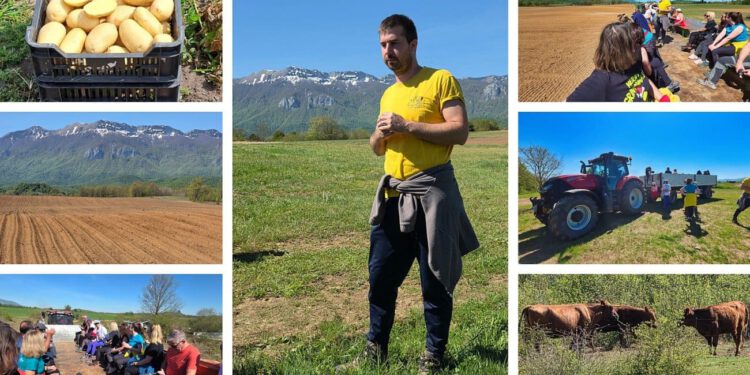 Mladi splitski agronom sa suprugom preselio u Lovinac i postao kralj ličkog krumpira: Evo zašto cijela Hrvatska traži baš ovaj krumpir