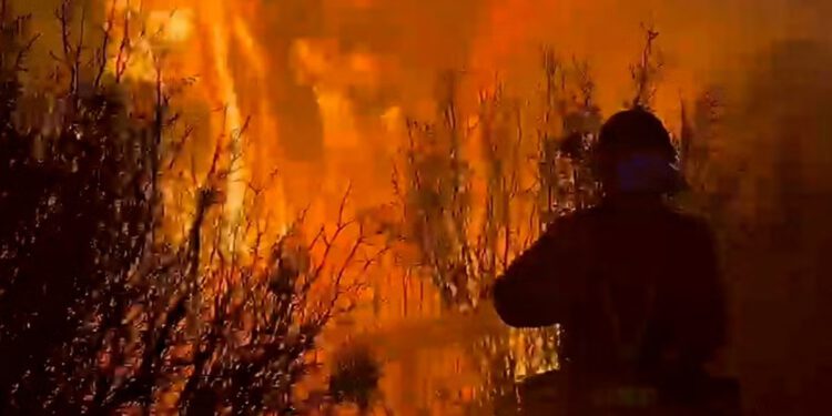 Najnoviji toplinski val u Španjolskoj: šumski požari i upozorenja na ekstremne vremenske uvjete u turističkim mjestima jer bi temperature mogle doseći 44C
