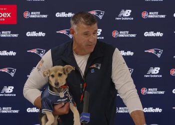 Navijači NFL-a osudili su Mikea Vrabela zbog upotrebe psića za ‘odvraćanje’ od skandala s aferom Dianna Russini na konferenciji za novinare: ‘Moramo početi biti odrasli’