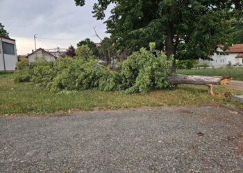 Nevrijeme poharalo dijelove BiH: Tuča, poplavljene ceste i velika šteta na usjevima