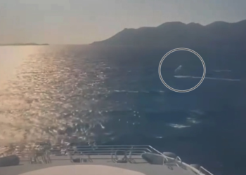 OPASNOT U PELJEŠKOM KANALU Surfer jurio u blizini katamarana i za dlaku izbjegao tragediju