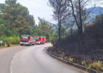 Općina Blato o stanju na požarištu: Kiša nije dovoljno natopila tlo, stižu dodatne snage