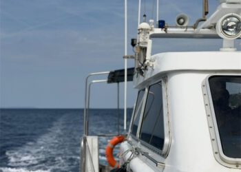 PALMIŽANA Pijani skiper isključen iz pomorskog prometa