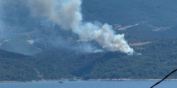 POŽAR NA BRAČU Buktinja iznad uvale Konopljikova, vatrogasci i zračne snage u borbi s vatrenom stihijom