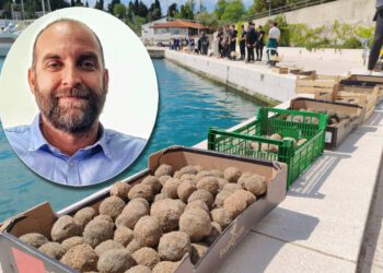UPOZORENJE STRUČNJAKA Pero Ugarković poručio: „Ne bacajte biokugle u more, to su lijepe, ali šuplje priče!“