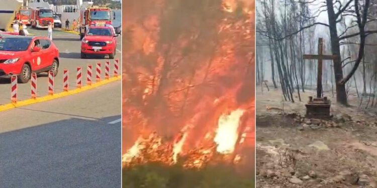 VIDEO: DRAMATIČNA BORBA S VATROM Desant vatrogasaca na Korčulu – Pogledajte razmjere požara!