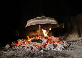 Ponovno kreću ribarske večeri u Viru!