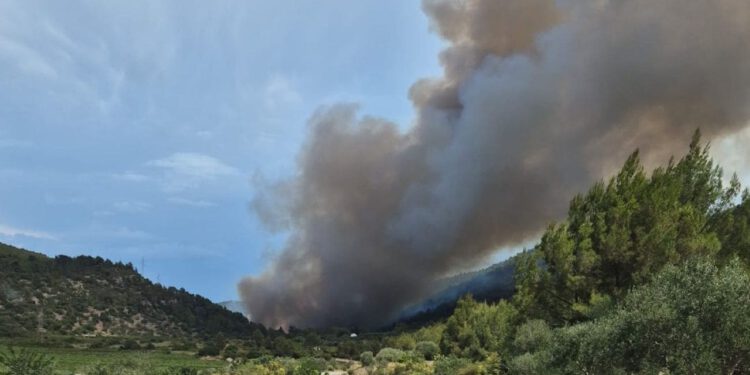 Požar na Korčuli se širi. MORH poslao Canadaire i Air Tractor u borbu s požarom
