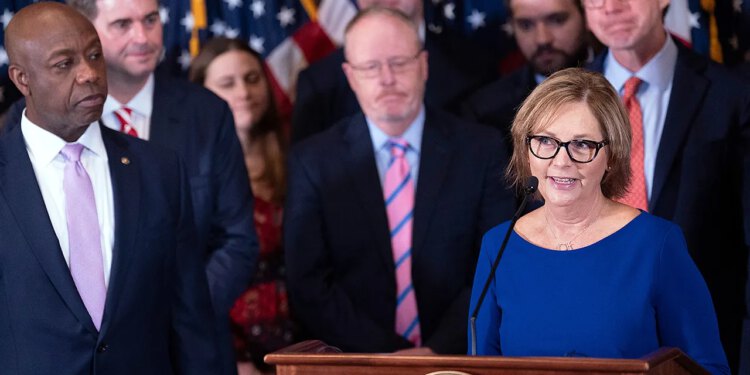 Predsjednik Trump poziva sestru Lindsey Graham da se kandidira za mjesto pokojnog senatora