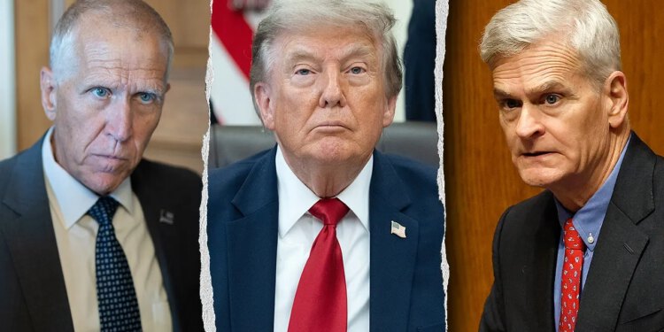 Sen Tillis prijeti da će blokirati usklađivanje proračuna zbog Zakona SAVE America