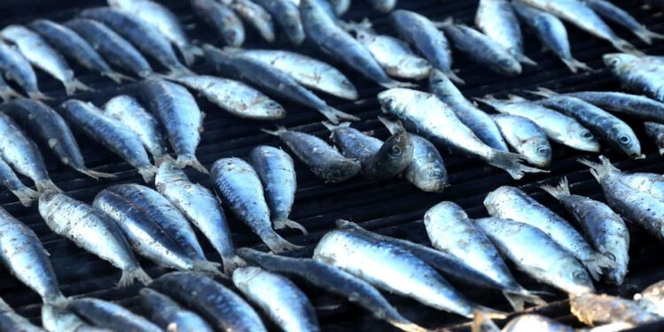 Siromašna okuplja velika srca: Dobrotvorna ribarska večer uz klape, dalmatinske delicije i humanitarni cilj
