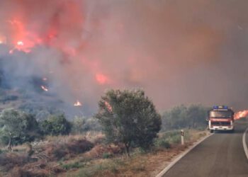Situacija nije dobra, ovo su snimke borbe gasitelja s buktinjom na Korčuli: “Vjetar sve pogoršava”