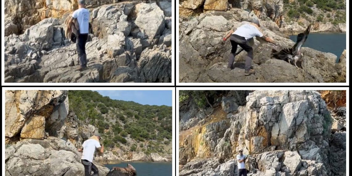 Sklonio se na stijene i pričekao da ga spasimo