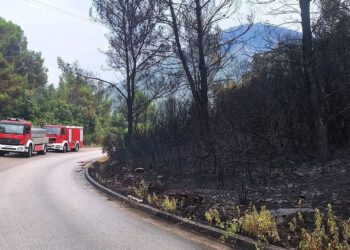 Stanje na požarištu kod Blata povoljnije, vatrogasci i dalje dežuraju: Angažiran i Air Tractor