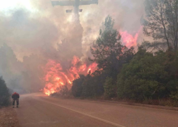Teška situacija na Korčuli: Velika površina je opožarena, pred vatrogascima duga noć (FOTO)