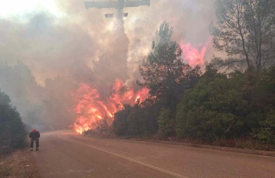 Teška situacija na Korčuli: Velika površina je opožarena, pred vatrogascima duga noć (FOTO)
