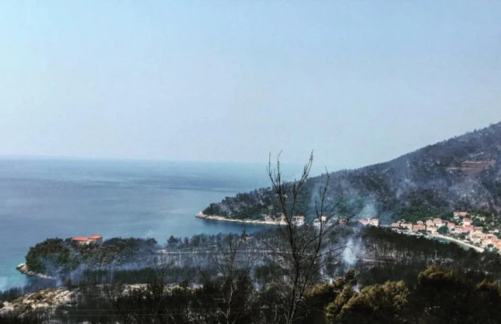 Vatrogasci i mještani zajednički su branili kuće: Prije 11 godina je buknuo požar koji je zauvijek promijenio Pelješac