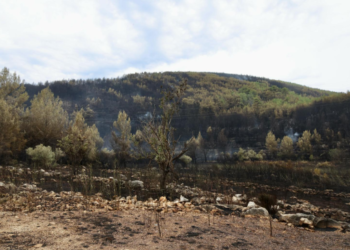 Vatrogasci nastavljaju borbu s požarom: Na pojedinim dijelovima i dalje ima izdimljavanja, kanaderi pomažu vatrogascima