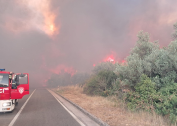 Veliki požar između Smokvice i Blata: Na terenu sva korčulanska DVD-a, u pomoć stiže i kanader