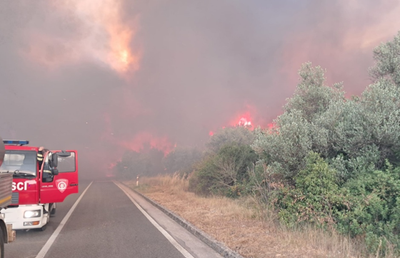 Veliki požar između Smokvice i Blata: Na terenu sva korčulanska DVD-a, u pomoć stiže i kanader