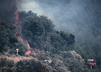 Veliki požar u šumi Fontainebleau u blizini Pariza prisiljava na evakuaciju i zatvara autocestu