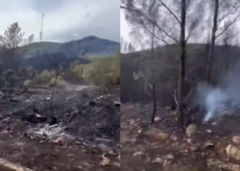 Video iz opožarenog područja na Korčuli: Vatrogasci pokazali razmjere štete