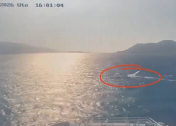 ZA DLAKU IZBJEGNUTA TRAGEDIJA U PELJEŠKOM KANALU Ekstremni surferi postali ozbiljna opasnost za brzobrodske linije, hitno interveniralo i Ministarstvo mora