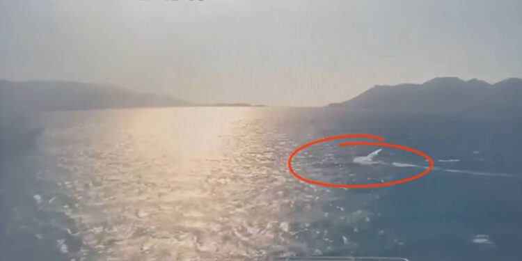ZA DLAKU IZBJEGNUTA TRAGEDIJA U PELJEŠKOM KANALU Ekstremni surferi postali ozbiljna opasnost za brzobrodske linije, hitno interveniralo i Ministarstvo mora