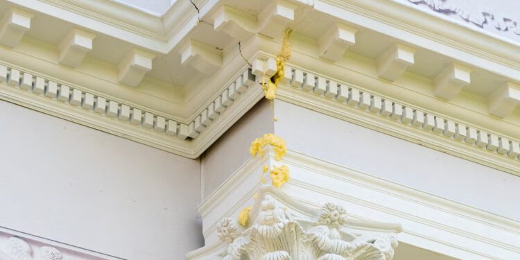 Žuta tvar viđena kako curi iz Trumpovog luka ‘Temu’ na Velikom američkom državnom sajmu